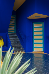 Jardin Majorelle - Photo gül-işık