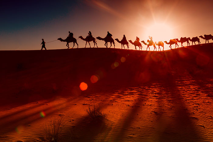 Balade à dos de chameau dans le désert d'Agafay
